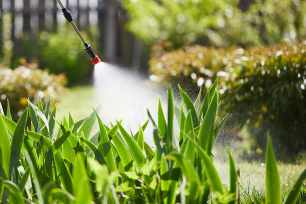 24/7 Emergency Mosquito Control experts in Bennington, NE